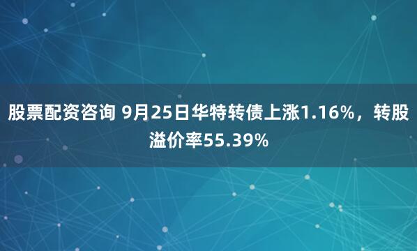 股票配资咨询 9月25日华特转债上涨1.16%，转股溢价率55.39%